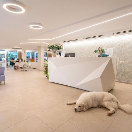 Hotel San Domingo Bellaria-Igea Marina Esterno foto