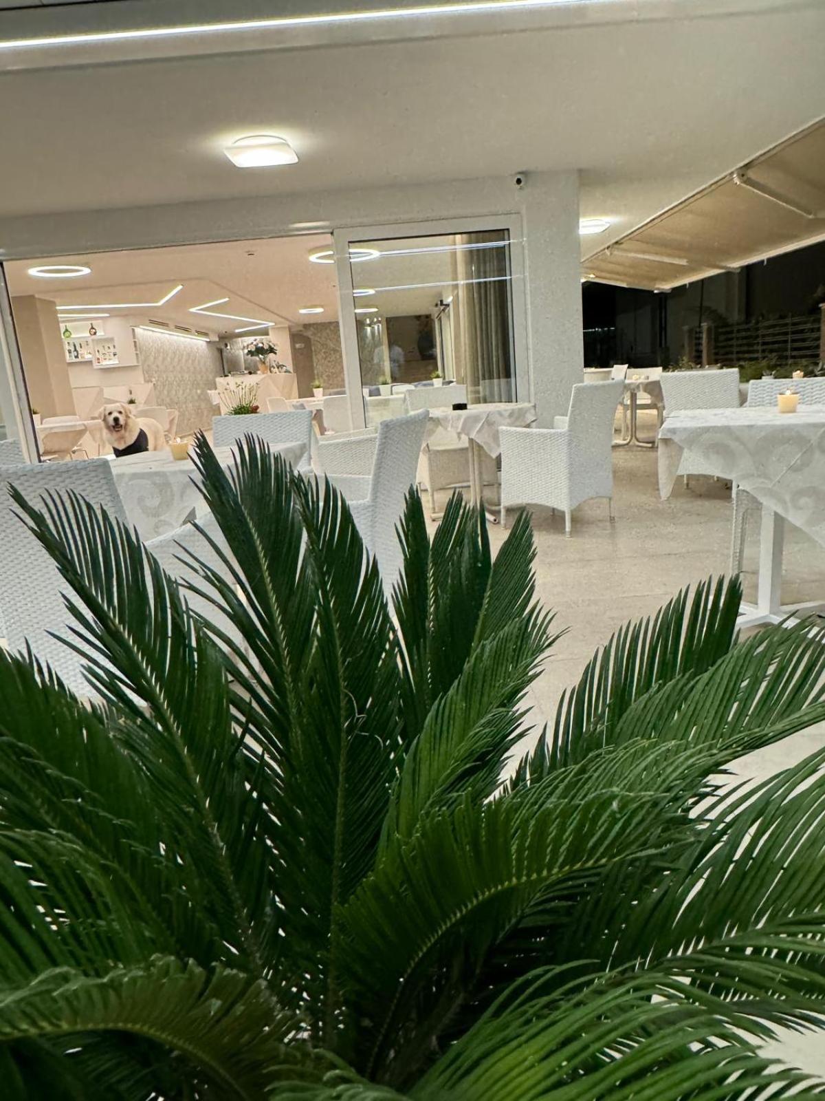 Hotel San Domingo Bellaria-Igea Marina Esterno foto