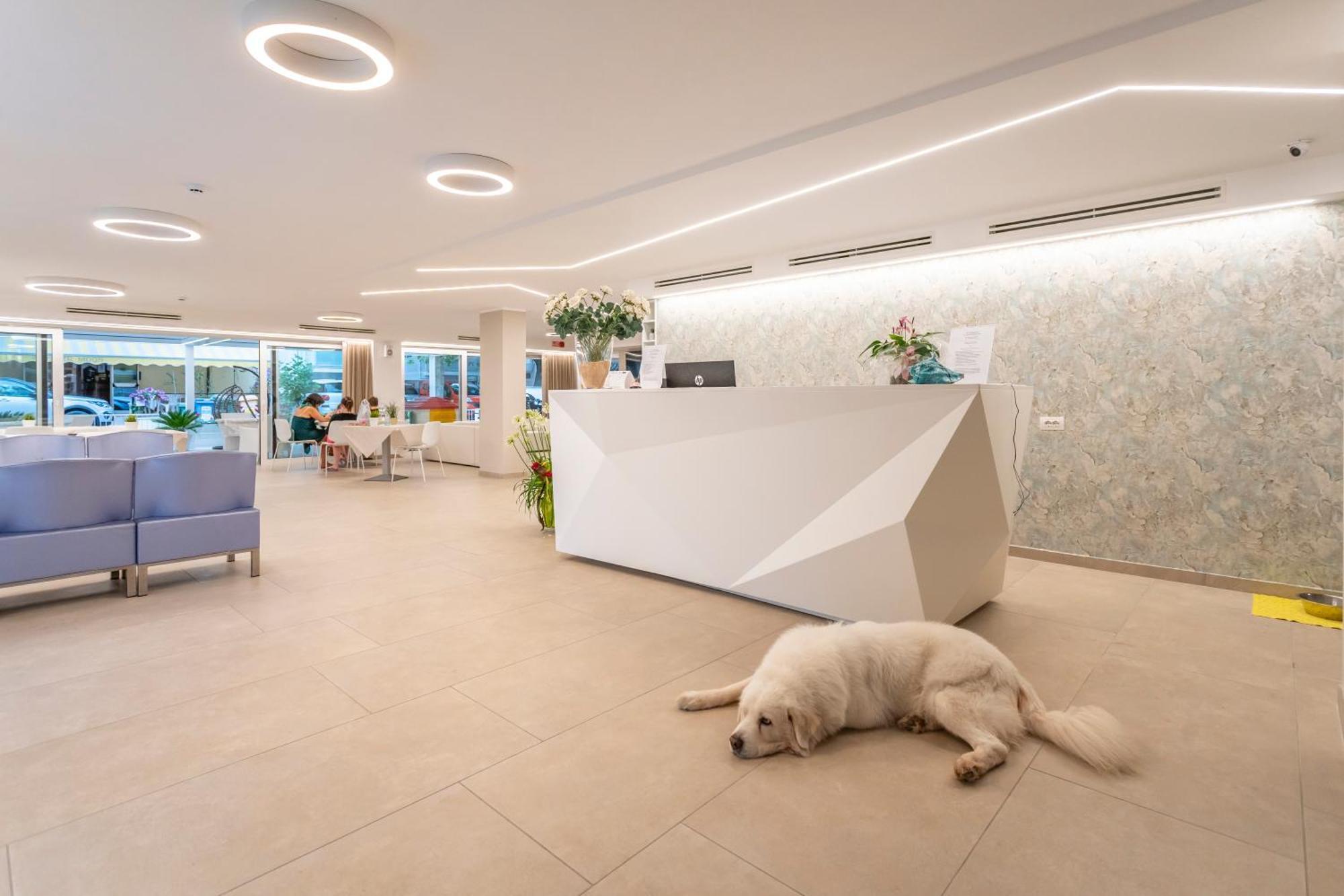 Hotel San Domingo Bellaria-Igea Marina Esterno foto